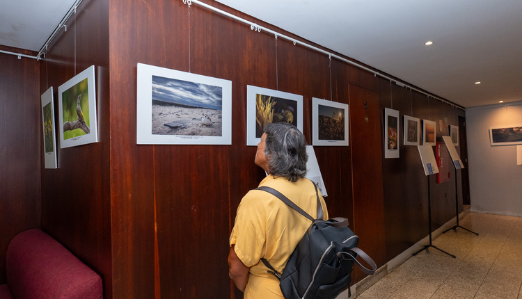 Parque Natural do Litoral Norte assinalou 21.º aniversário com homenagem à natureza através da fotografia Parque Natural do Litoral Norte assinalou 21.º aniversário com homenagem à natureza através da fotografia