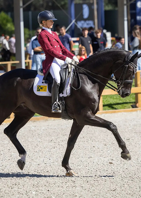 late-summer-equestrian-festival late-summer-equestrian-festival