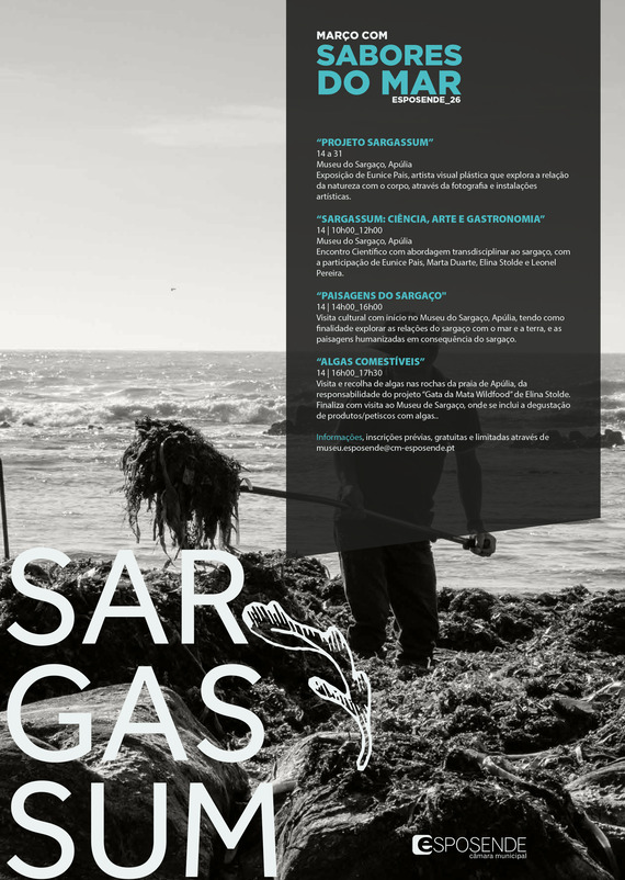 projeto-sargassum