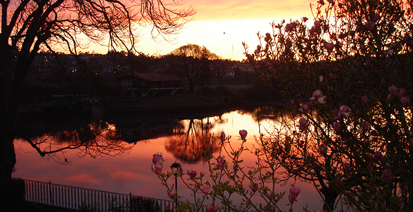 Casa da Barca do Lago