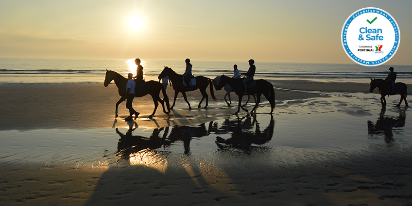 Nature Equestrian Trails