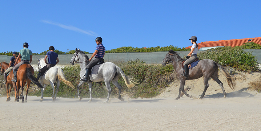 Nature Equestrian Trails