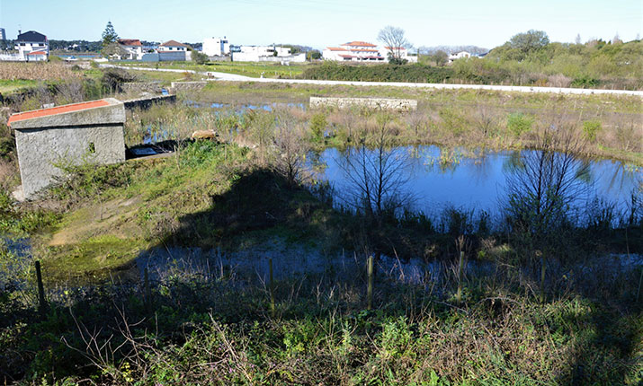 canal-intercetor-de-esposende/