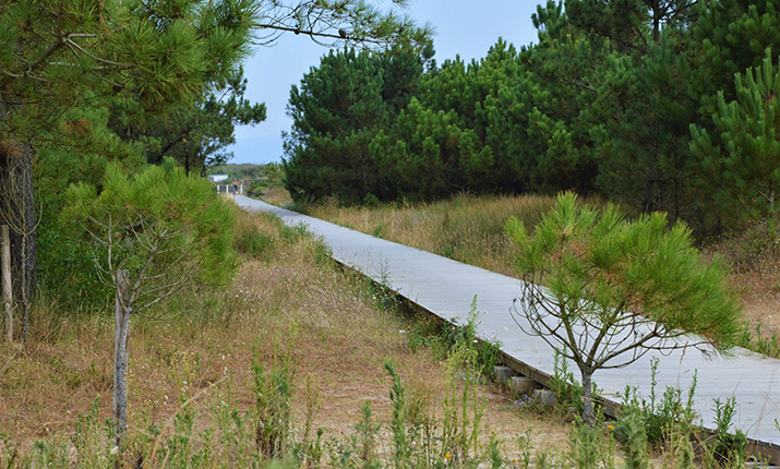 Ecovia do Litoral Norte