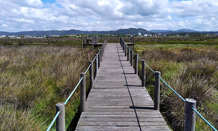 Miradouro do Estuário do Cávado - Fão