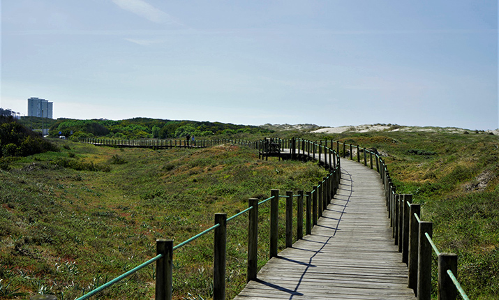 Viewpoint of Foz do Cávado, Restinga - Fão