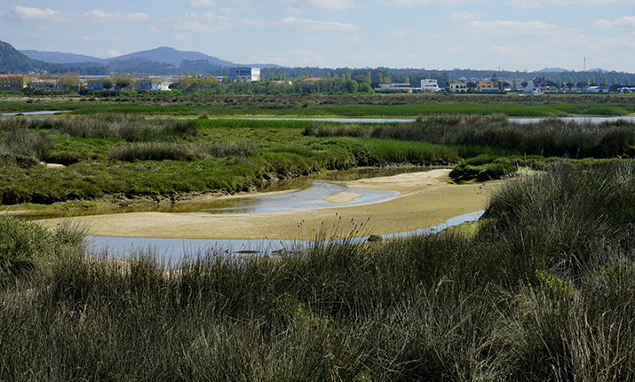 Observatory of Cávado Estuary - Fão