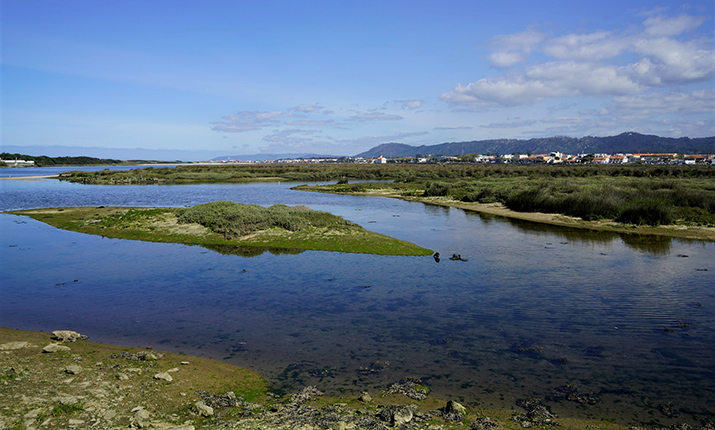 Observatory of Cávado Estuary - Fão