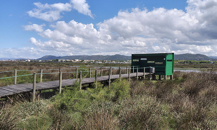 Observatory of Cávado Estuary - Fão