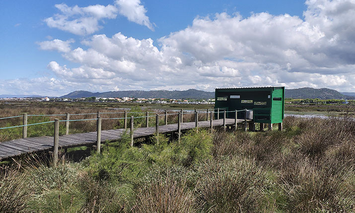 Observatório do Estuário do Cávado - Fão