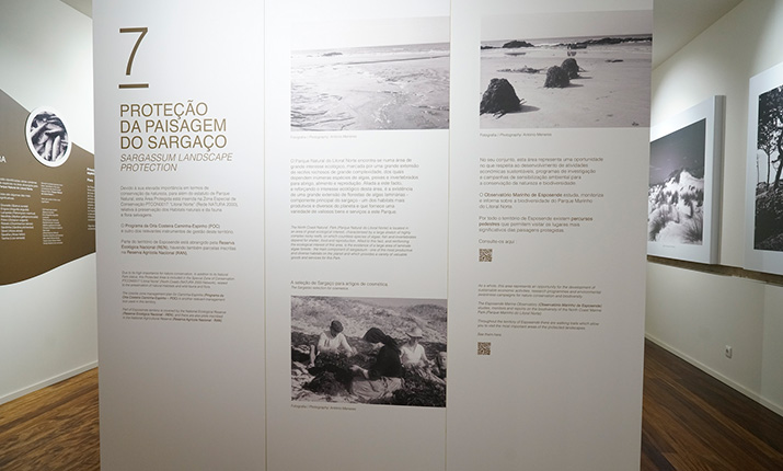 Sargasso Museum