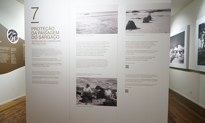 Museu do Sargaço