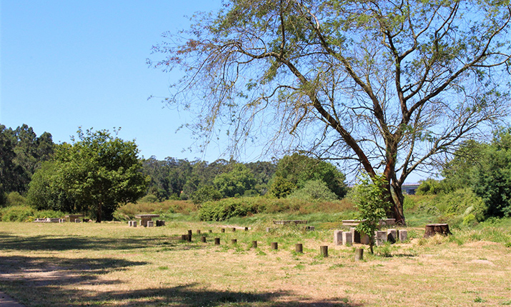 Barca do Lago - Fonte Boa Picnic Park