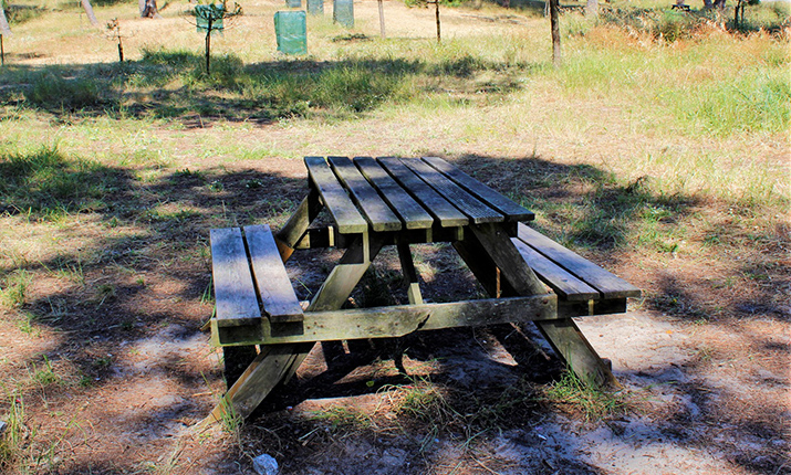 Parc de piquenique da Bonança