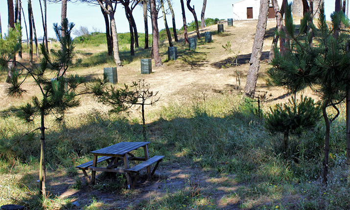 Bonança Picnic Park