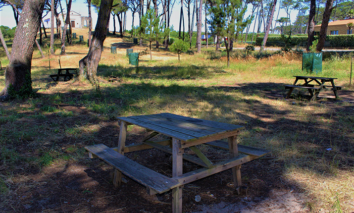 Bonança Picnic Park