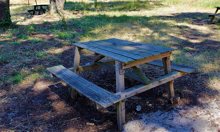 Bonança Picnic Park