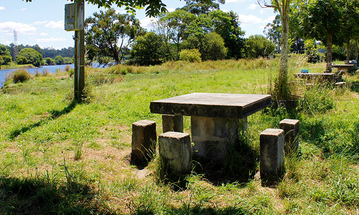 Torta Picnic Park - Barca do Lago