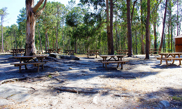 Parc de piquenique du Monte de S. Lourenço