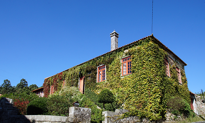 Palmeira de Faro