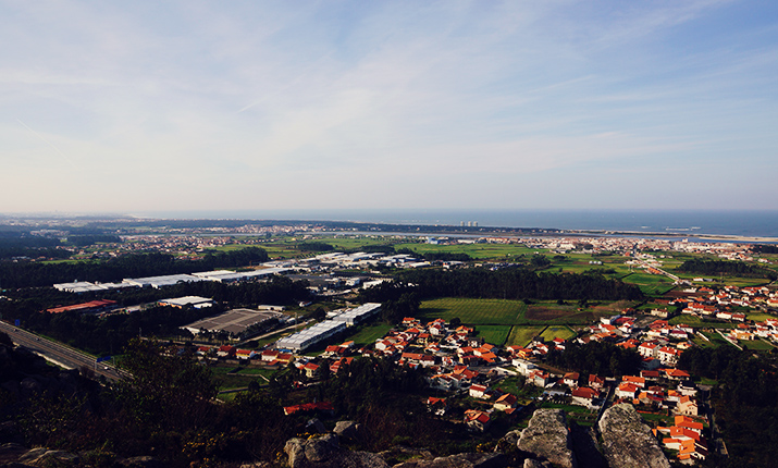 Palmeira de Faro