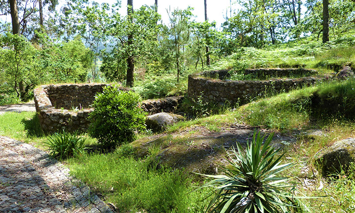 Palmeira de Faro