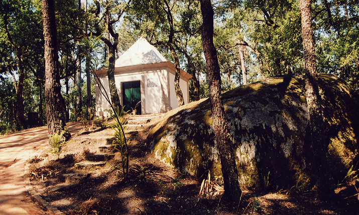 Senhor dos Desamparados