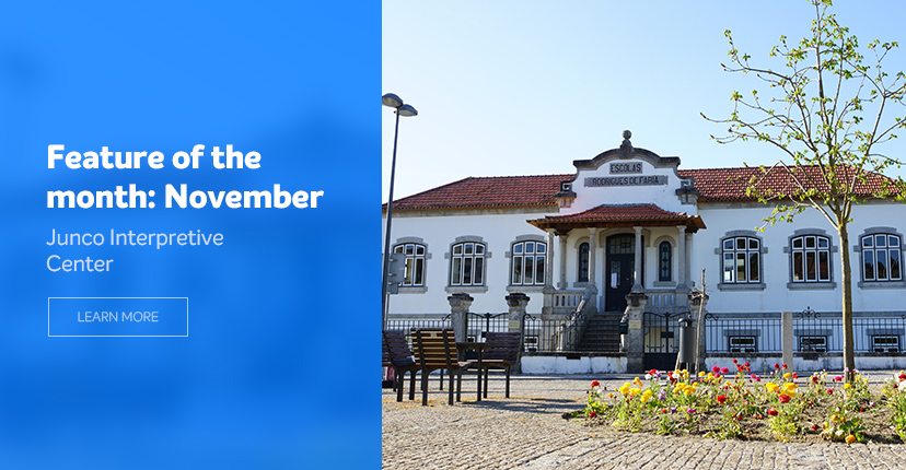 Destaque do mês de novembro / 25