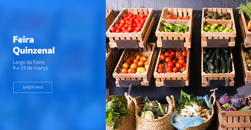 feira quinzenal