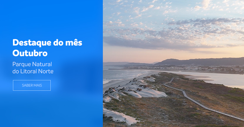 Destaque do mês de Outubro - 2025