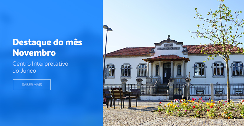 Destaque mês novembro / 25