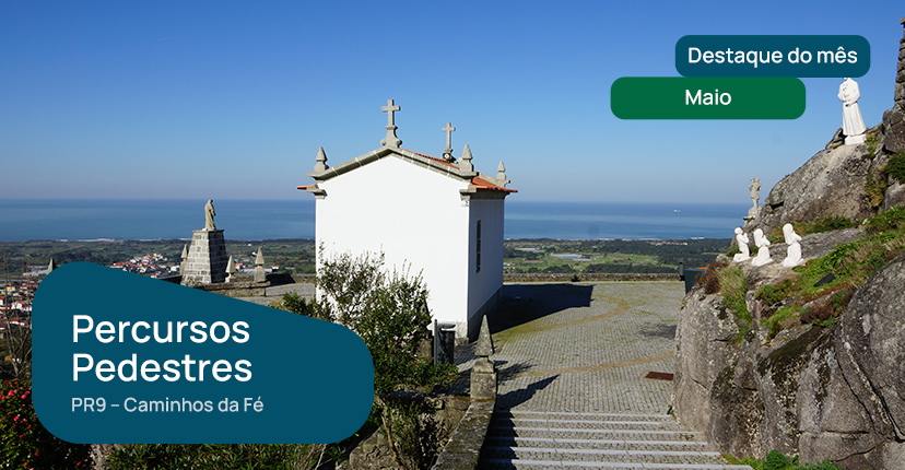 Destaque do mês de maio - 26