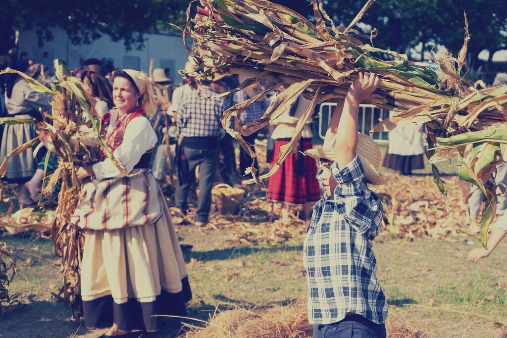 Apúlia acolhe Desfolhada à Moda Antiga no dia 14 de setembro Apúlia acolhe Desfolhada à Moda Antiga no dia 14 de setembro