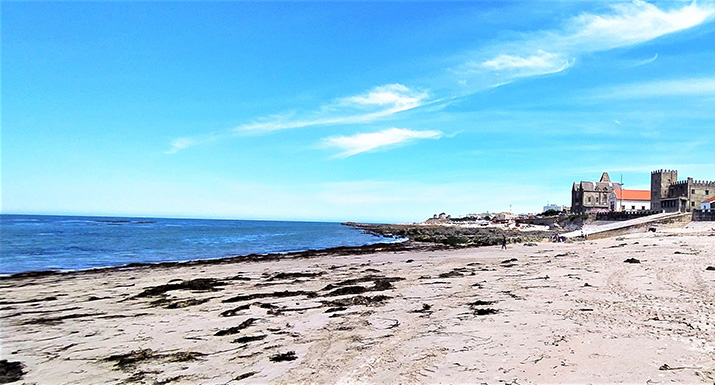 Imagens em tempo real das praias de Esposende