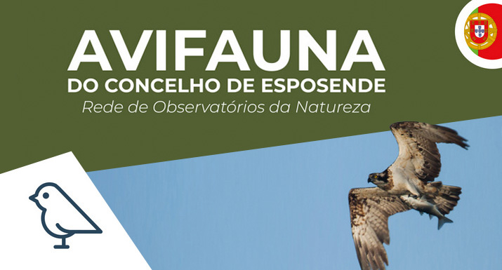 Município de Esposende lança guia sobre a  avifauna do concelho